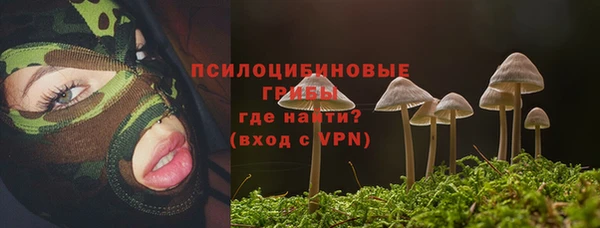 прущая мука Абинск